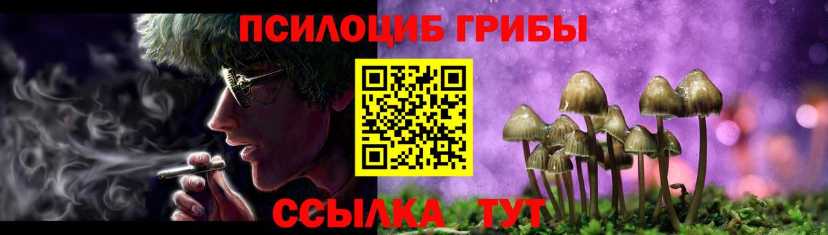 Казань  Псилоцибиновые грибы ЛСД  Вход с VPN 